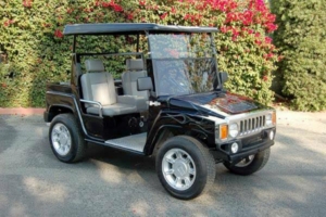 affordable golf cart rental, golf cart rent port st lucie, cart rental port st lucie